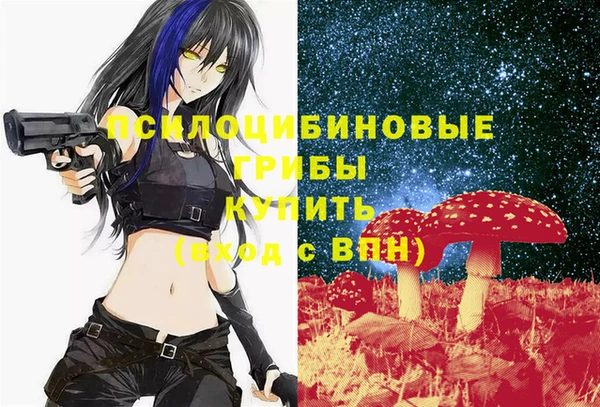 не бодяженный Абаза