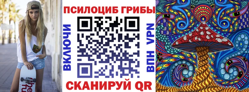 kraken вход  Чапаевск  Псилоцибиновые грибы прущие грибы 