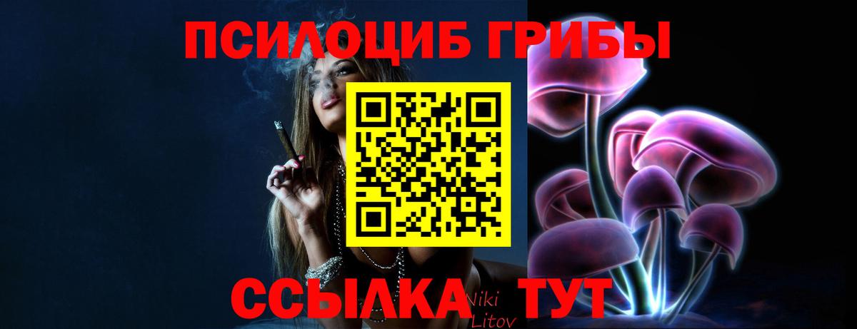 Чапаевск  Псилоцибиновые грибы MAGIC MUSHROOMS  Псилоцибиновые грибы мицелий  Вход с VPN 